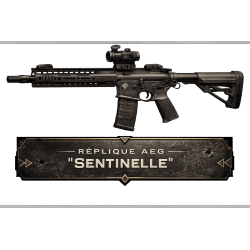 Lot de 10 répliques AEG Standard