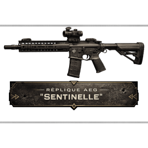 Lot de 10 répliques AEG Standard